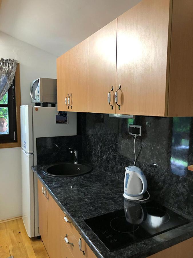Studio Apartman Firdaus-Bihac, Dobrenica Bb Luaran gambar