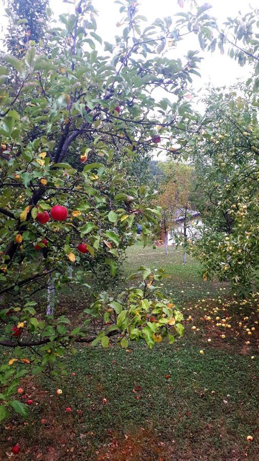 Studio Apartman Firdaus-Bihac, Dobrenica Bb Luaran gambar